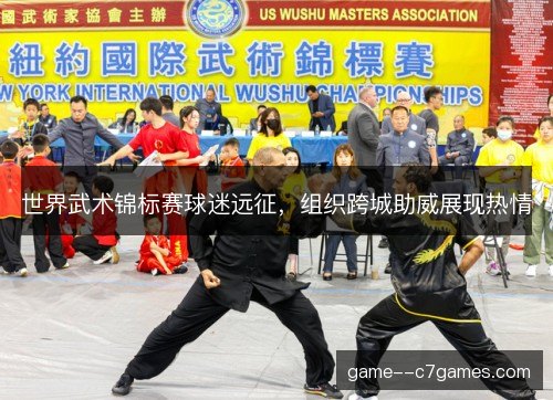 世界武术锦标赛球迷远征，组织跨城助威展现热情